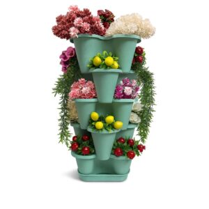 Arsimo 5 Katlı Şanslı Yonca Kule Saksı Seti Çiçek Bitki Sebze Meyve Salon Mutfak Banyo Bahçe Saksı Seti (Mint Yeşili) – MegTR