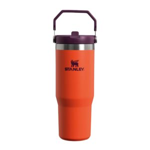 Stanley IceFlow Flip Straw Tumbler Pipetli Termos Bardak, 0.89 L – MegTR