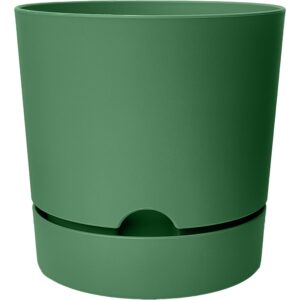 ToXA Begonya Saksı Tabaklı Drenajlı Mat Plastik Çiçek Saksısı (1 Adet, 5 Litre, 21cm, Yeşil) – MegTR