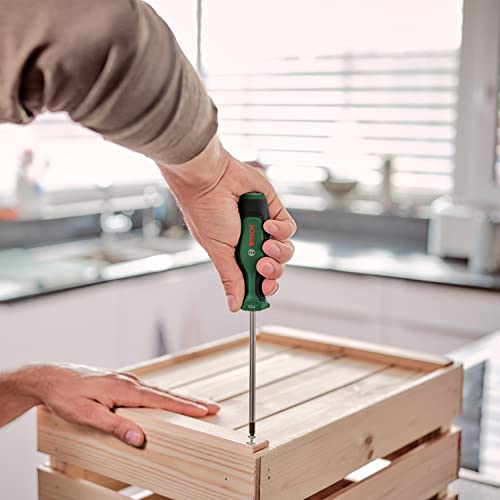 Bosch Home and Garden Tornavida Seti 8 Parça – MegTR